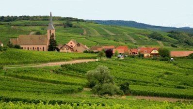 vignoble alsace